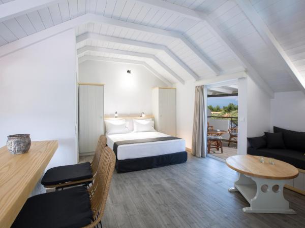 Villa Elia Resort : photo 1 de la chambre suite junior