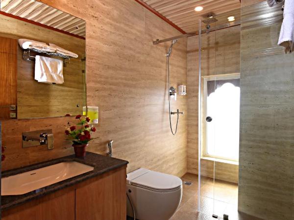 Hotel Thamel Park : photo 10 de la chambre chambre lits jumeaux supérieure