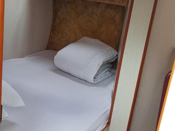 Bateau 6 personnes sans permis terrasse à quai ou option navigation : photo 9 de la chambre mobile home