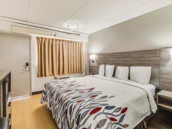 Red Roof Inn Columbia East - Ft Jackson : photo 5 de la chambre chambre lit king-size supérieure - non-fumeurs