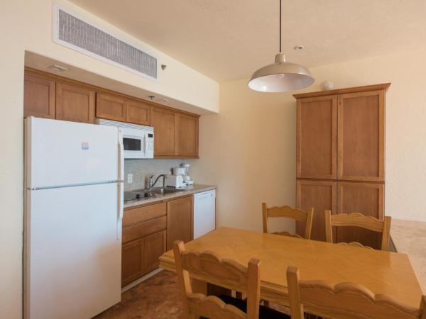 Club Regina Los Cabos : photo 2 de la chambre studio avec kitchenette