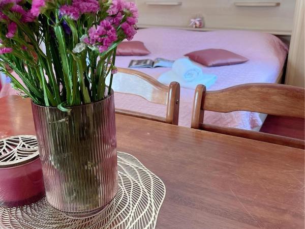 House Ivančić-free parking : photo 6 de la chambre studio