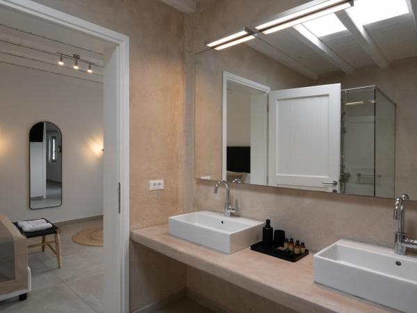 Ikies of Mykonos : photo 9 de la chambre villa familiale avec piscine privée