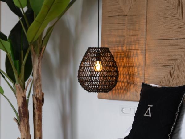 Ikies of Mykonos : photo 3 de la chambre suite exécutive avec piscine privée