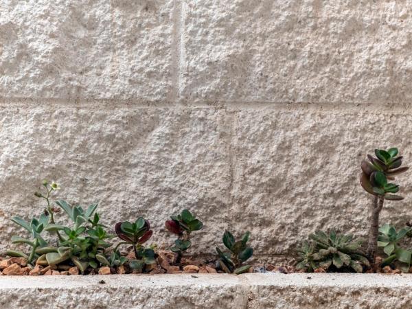 In centro da Viola - Eco Design Rooms : photo 10 de la chambre chambre double avec salle de bains privative