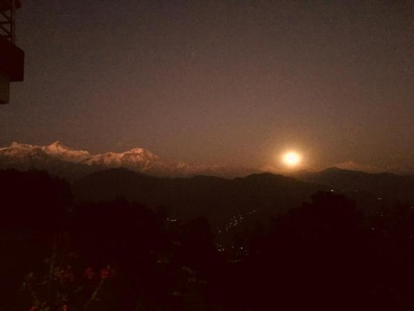 Hotel Pristine Himalaya : photo 1 de la chambre chambre familiale deluxe