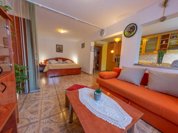 Apartments Anita : photo 4 de la chambre studio - vue sur piscine