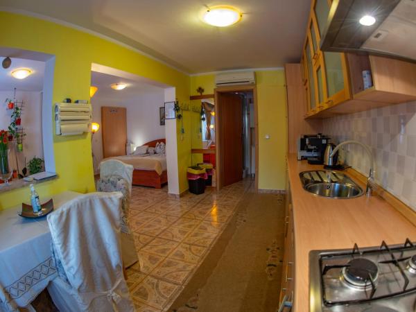 Apartments Anita : photo 5 de la chambre studio - vue sur piscine