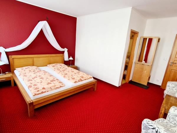 Penzion Valkoun-Lilienfeld : photo 3 de la chambre chambre double standard