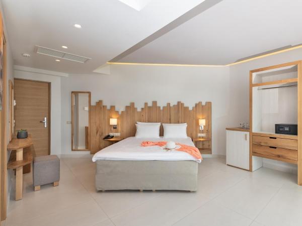 Star Beach Village & Water Park : photo 1 de la chambre chambre double Économique - bâtiment annexe 