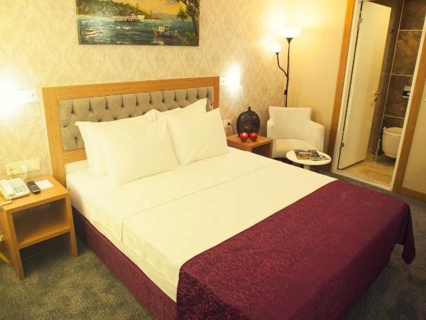 Helikon Business Hotel : photo 2 de la chambre chambre double ou lits jumeaux Économique