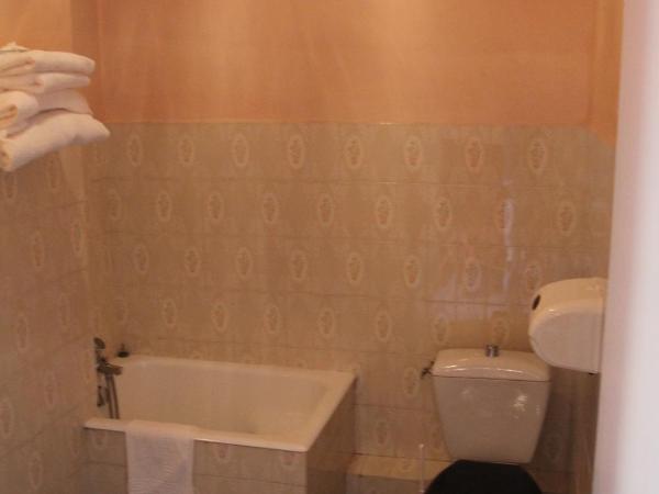 Hôtel Sampiero Corso : photo 2 de la chambre chambre double avec baignoire sabot