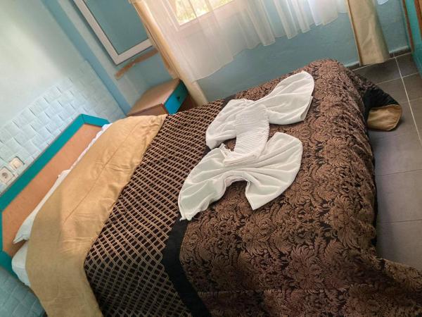 palm club apart otel : photo 5 de la chambre chambre familiale