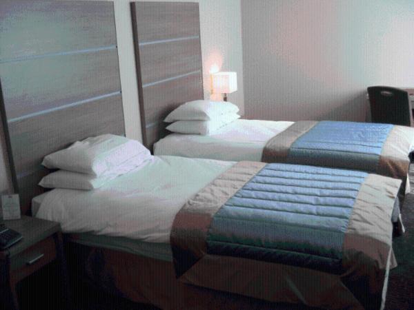 Htel Bristol : photo 4 de la chambre chambre lits jumeaux suprieure