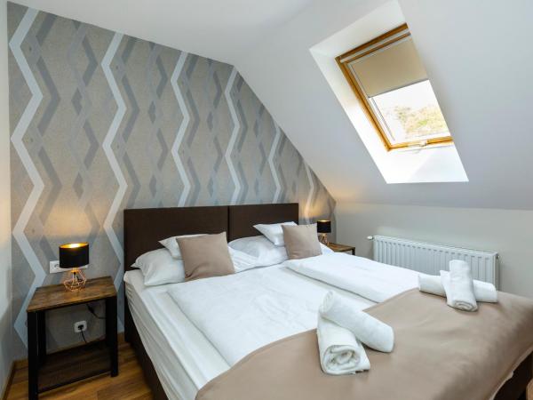 Servita Udvarház Eger : photo 7 de la chambre appartement avec douche