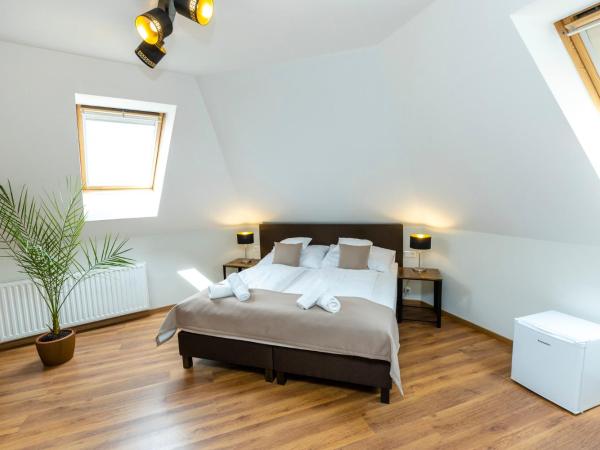 Servita Udvarház Eger : photo 9 de la chambre suite 1 chambre