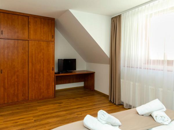 Servita Udvarház Eger : photo 6 de la chambre appartement deluxe