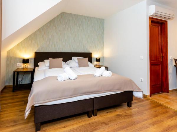 Servita Udvarház Eger : photo 1 de la chambre appartement deluxe