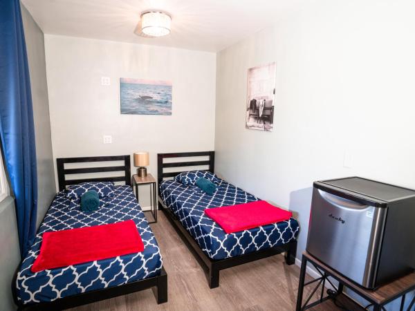 California Dreams Hostel - Ocean Beach : photo 8 de la chambre chambre double ou lits jumeaux supérieure