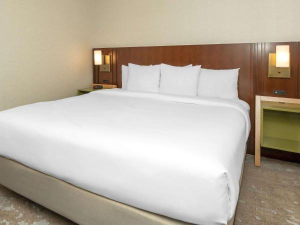 Comfort Inn West : photo 5 de la chambre hébergement lit king-size - non-fumeurs - 2e Étage