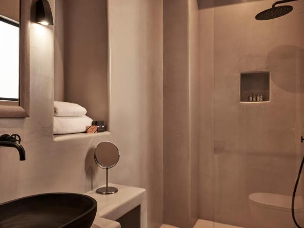 Maison Central : photo 8 de la chambre appartement 1 chambre