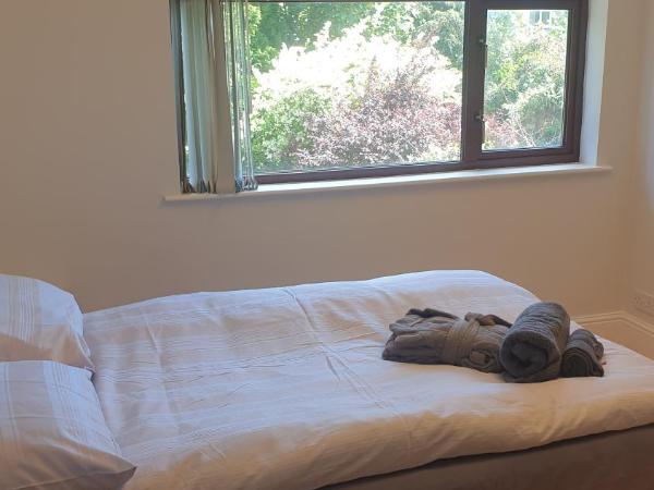 Dublin Airport Lodge : photo 2 de la chambre chambre double - vue sur jardin