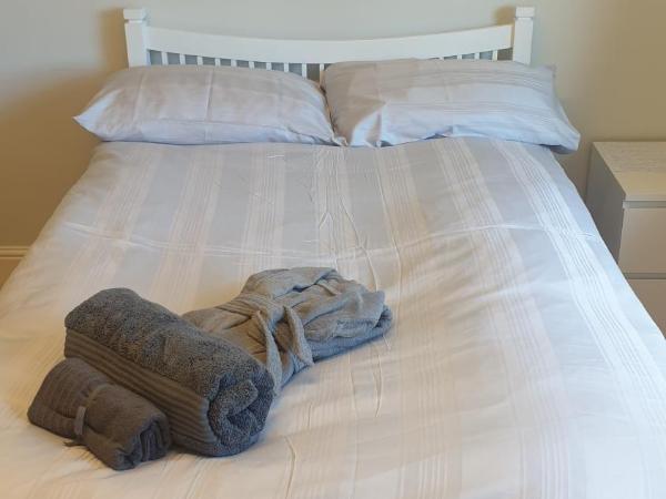 Dublin Airport Lodge : photo 3 de la chambre chambre double - vue sur jardin