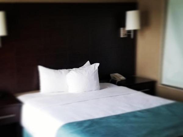 Comfort Inn & Conference Centre Toronto Airport : photo 1 de la chambre chambre lit king-size standard