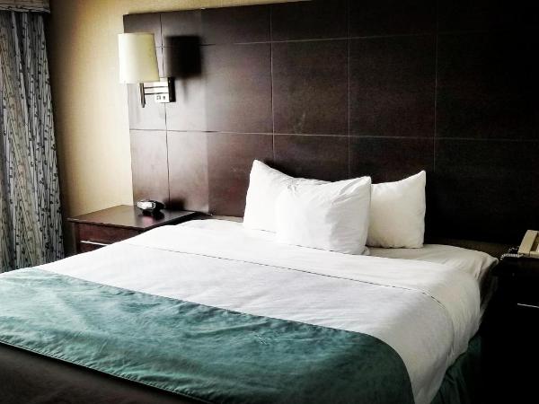 Comfort Inn & Conference Centre Toronto Airport : photo 2 de la chambre chambre lit king-size standard