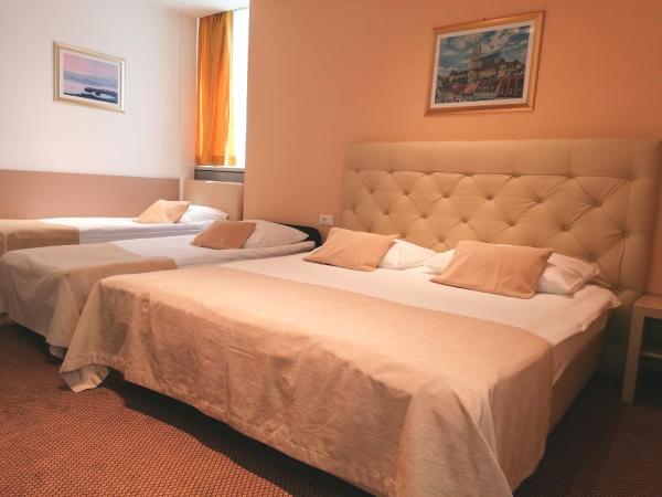 Hotel Central : photo 1 de la chambre chambre quadruple Économique