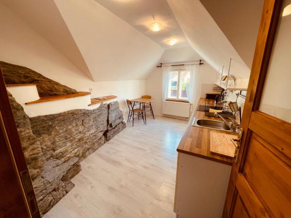 Penzion Kapr : photo 2 de la chambre apartment with kitchen and double bed - annex