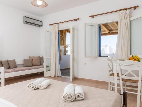 Aqua Naxos Apartments & Suites : photo 7 de la chambre studio - vue sur mer