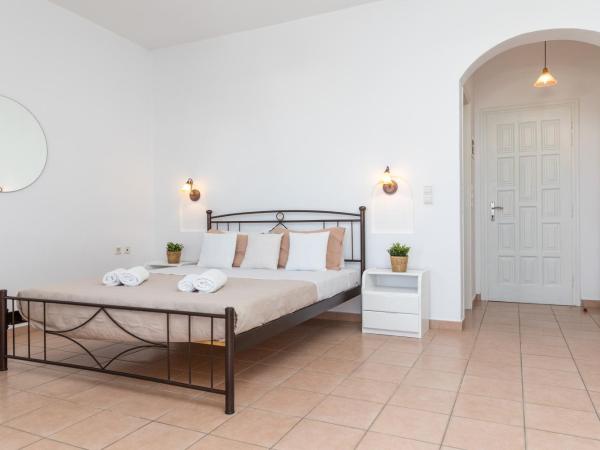 Aqua Naxos Apartments & Suites : photo 6 de la chambre studio - vue sur mer