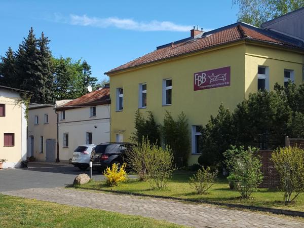 FEWO1-1 Zim Apart-4 Bett-Küche-Dusche WC-Parkplatz : photo 1 de la chambre appartement avec terrasse