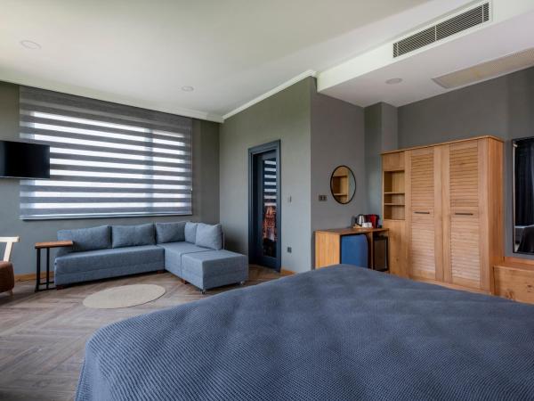 Istanbul Old City Colorful Houses Balat PETRION Hotel : photo 7 de la chambre suite junior