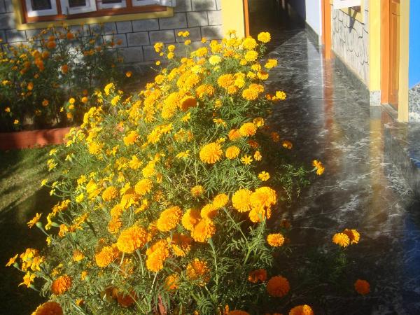 Nanohana Lodge : photo 6 de la chambre chambre double Économique