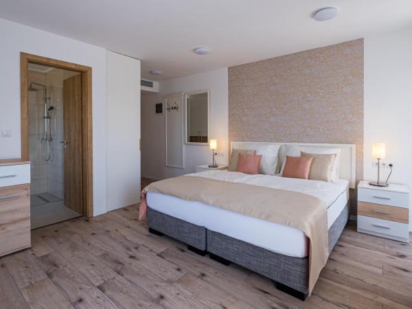 Füred Centrum Panzió : photo 2 de la chambre chambre double ou lits jumeaux supérieure