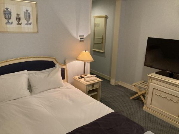 Hotel Monterey Osaka : photo 6 de la chambre donau classic single room - non-smoking