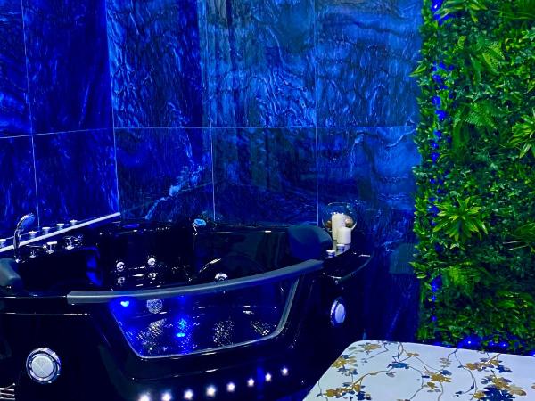 Domus 2 : photo 4 de la chambre chambre double avec baignoire spa