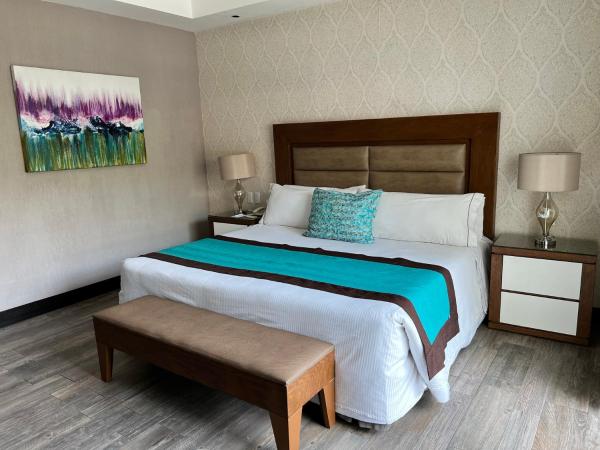 Áurea Hotel and Suites : photo 7 de la chambre suite junior