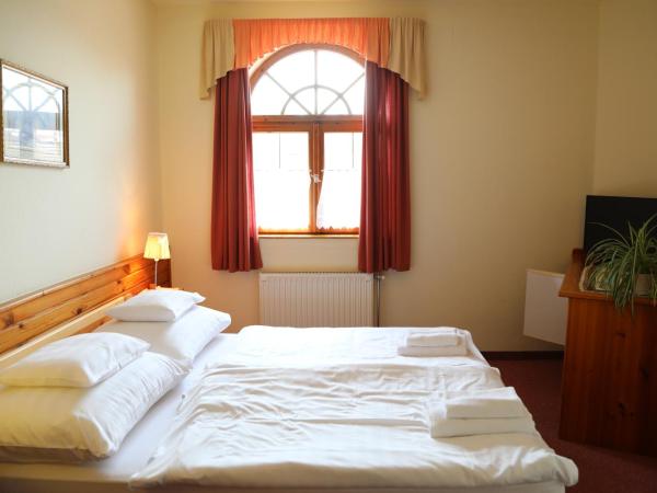 Hajdú Kastély Hotel : photo 3 de la chambre appartement 2 chambres