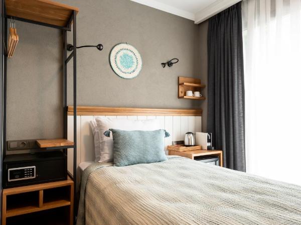 Istanbul Old City Colorful Houses Balat PETRION Hotel : photo 1 de la chambre chambre simple