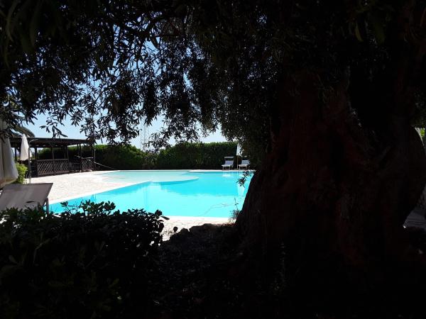 Hotel Lady Lusya : photo 8 de la chambre chambre double - vue sur piscine