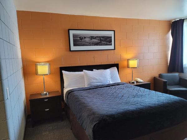 Roadking Inns Motel : photo 8 de la chambre chambre standard lit queen-size - animaux domestiques acceptés