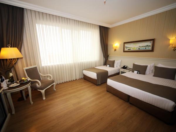 Bilek Istanbul Hotel : photo 6 de la chambre chambre double ou lits jumeaux supérieure