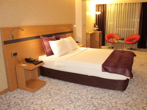 Hotel Osaka Airport : photo 1 de la chambre chambre double supérieure