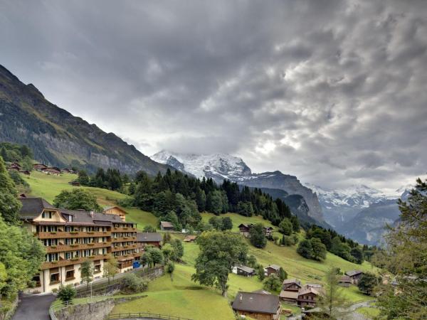 Hotel Alpenrose Wengen - bringing together tradition and modern comfort : photo 5 de la chambre appartement 1 chambre