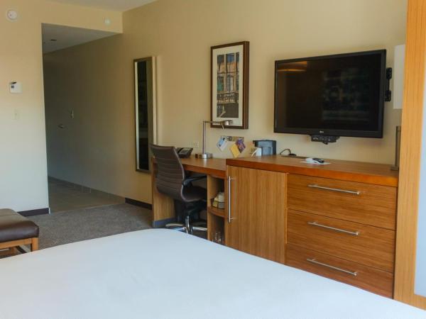 Hyatt Place Chicago-South/University Medical Center : photo 6 de la chambre chambre lit king-size avec canapé-lit