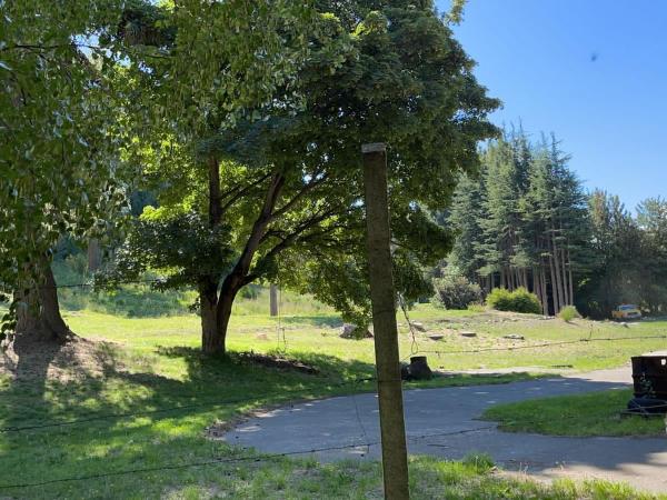 Posada del Ñireco : photo 5 de la chambre chambre familiale