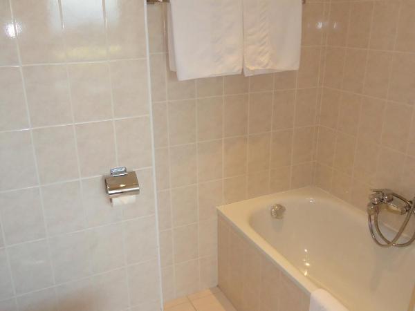 Grand Hôtel du Parc : photo 10 de la chambre chambre double - vue panoramique